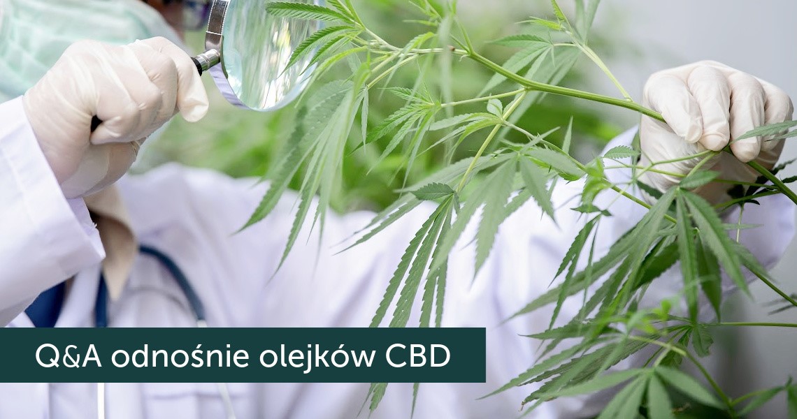 kannabinoidy olejki cbd